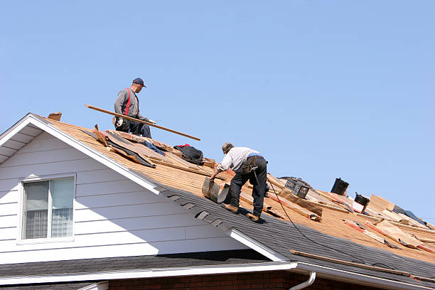 Best Roof Moss and Algae Removal  in Rhome, TX